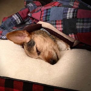 Meet your Posher, Lindsay